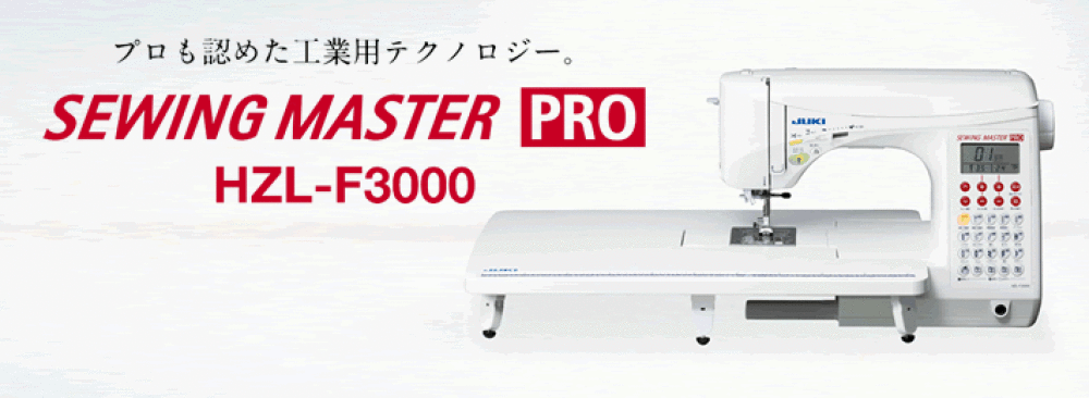 HZL-F3000