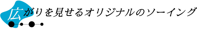 中央画像